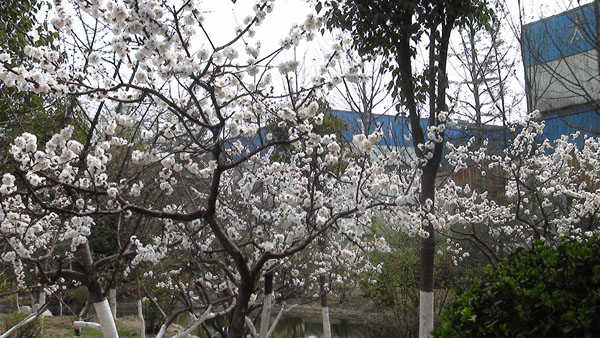 ̫�O�²����O�乫˾�S�^(q��)���Ә��_�M�˻�