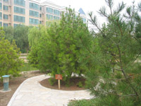 ̫�O������^(q��)