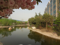 ̫�O������^(q��)