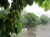 �T������