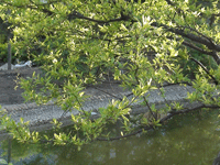 ̫�O�²����O(sh��)�乫˾���쾰ɫ