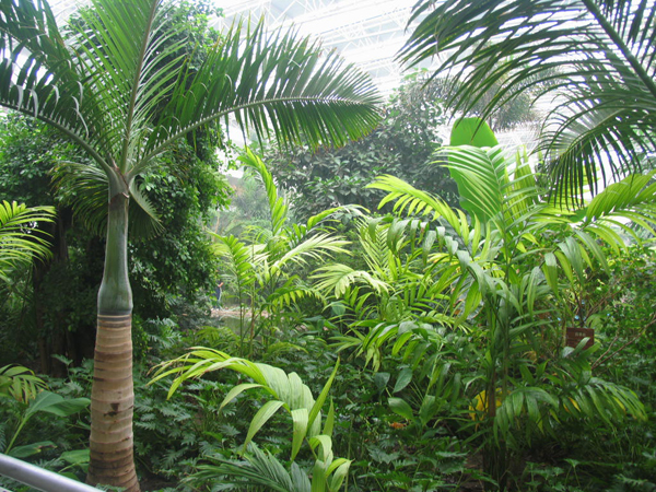 ̫�O�²����O(sh��)�乫˾